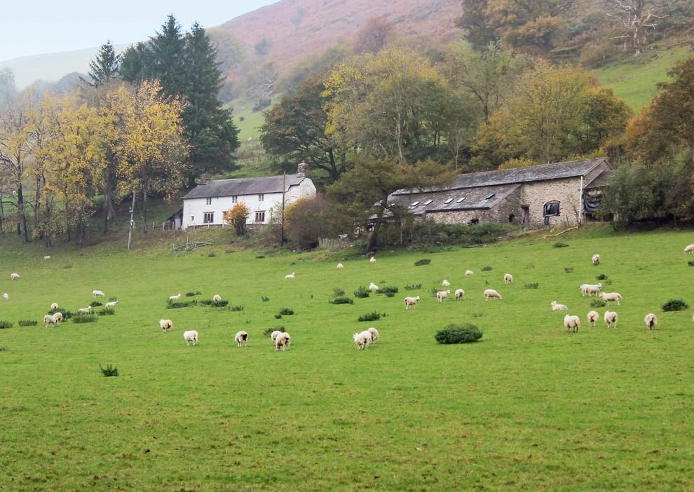 Holiday farmhouse and barns near Bala Powys